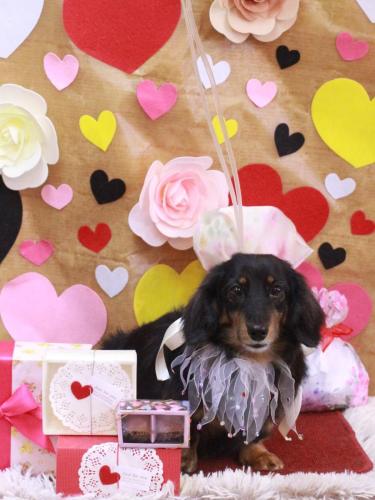 20230214モカちゃん